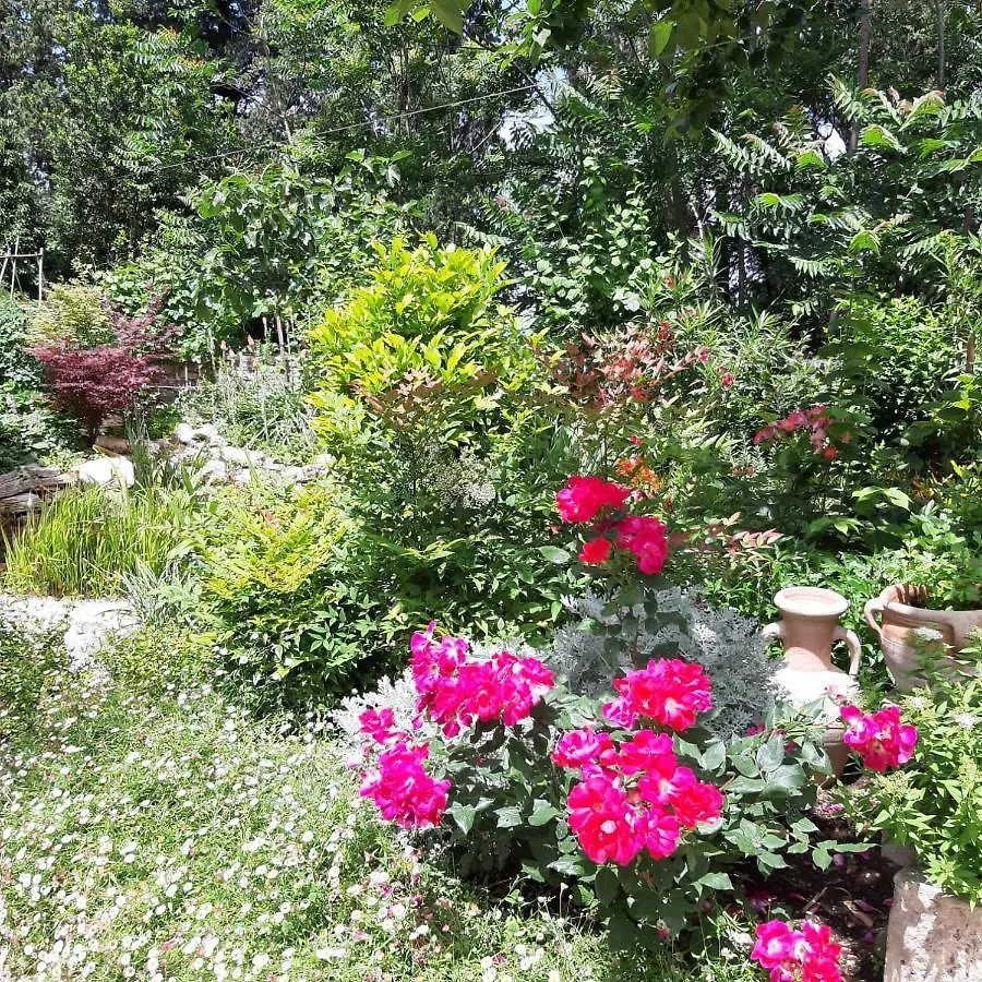 Guest house Il Giardino Del Borgo Hotel Serre Di Rapolano