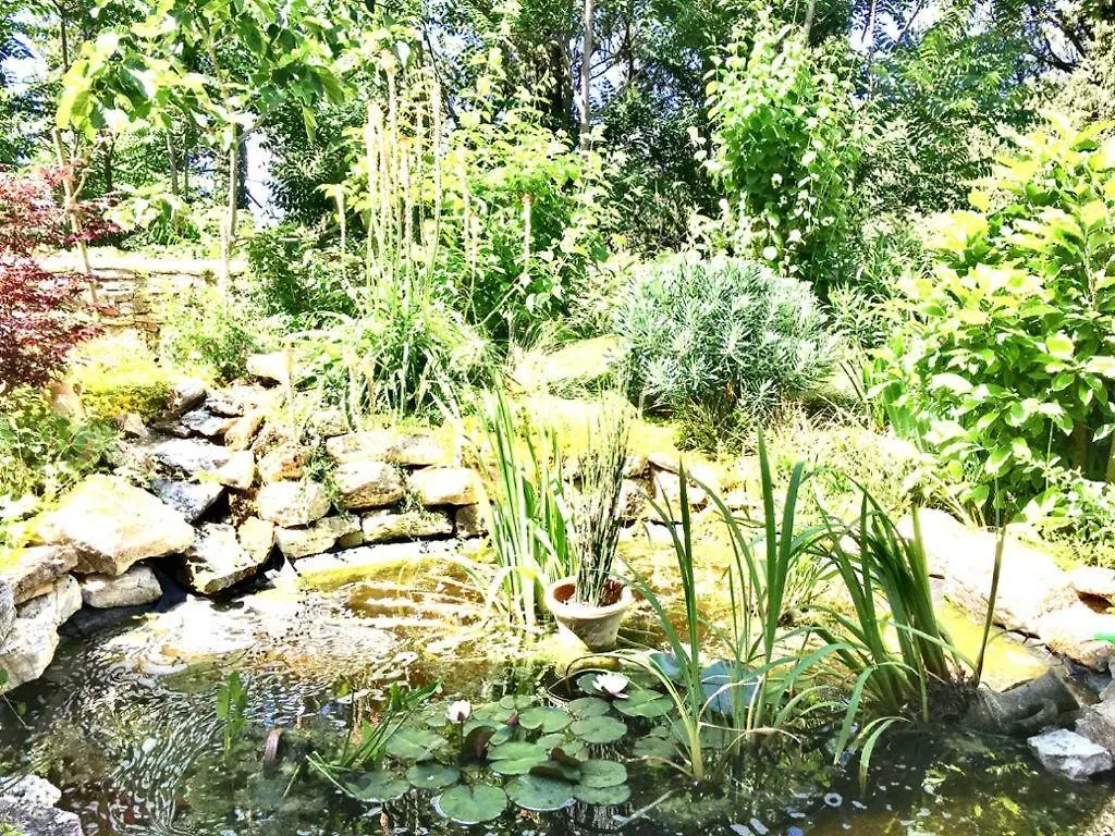 Affittacamere Il Giardino del Borgo Hotel Serre Di Rapolano