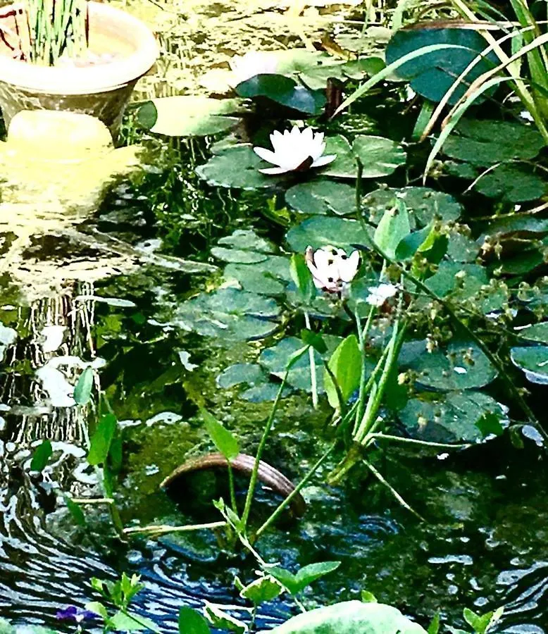 Affittacamere Il Giardino del Borgo Hotel Serre Di Rapolano Italia
